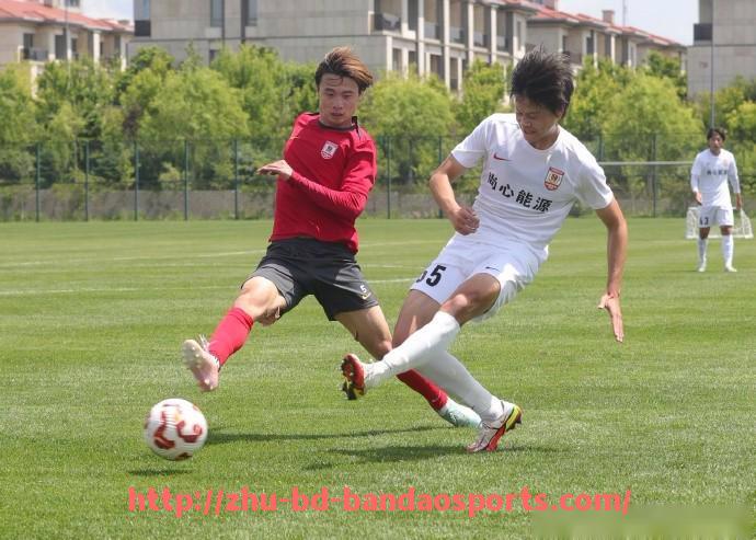 半岛体育-英超20支球队英文简写一览与含义对照表