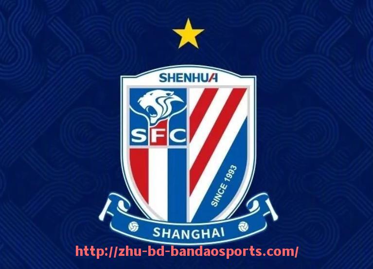 半岛体育-法甲里昂年度防守表现排名及其进步情况