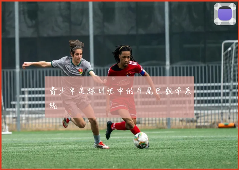 青少年足球训练中的牛尾巴教学系统