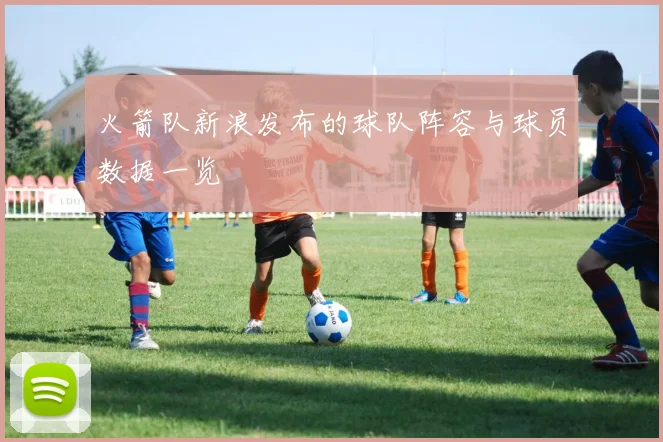 火箭队新浪发布的球队阵容与球员数据一览