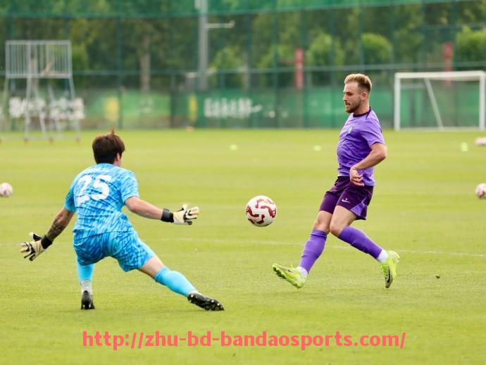 半岛体育-世俱杯VAR技术使用情况与争议分析